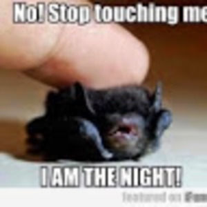 Meet your Posher, Daxce